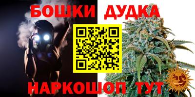 apvp Кунгур