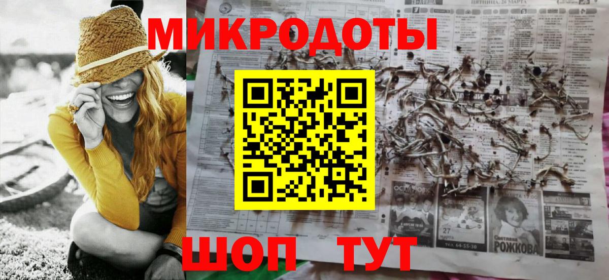 Галлюциногенные грибы Psilocybe Дубна