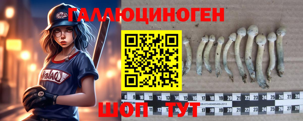 ГАШ Дубна